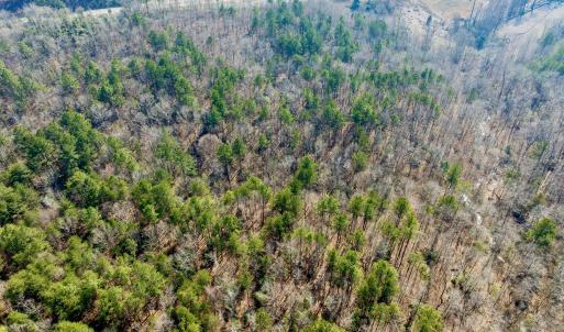 RS 1 DJI_0348-Enhanced-NR