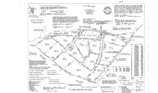 olde north survey