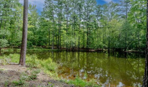30peachblossompond