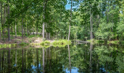 30peachblossompond2