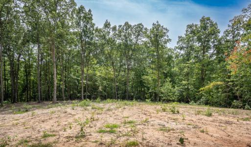 30peachblossomrightrearpotentialhomesite