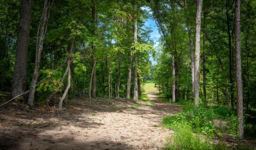 30peachorchardnewdrivewaylookingdowntope