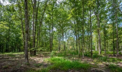 30peachblossompondlookingtorearofpropert