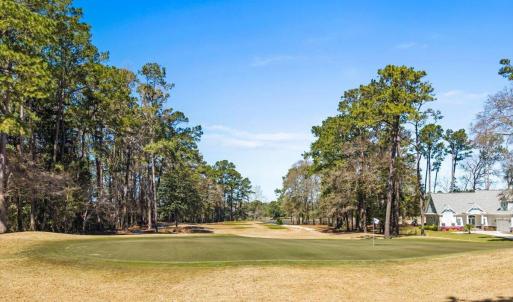 Golf view
