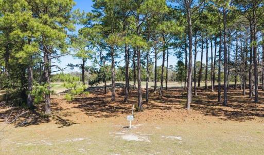 Lot View 2