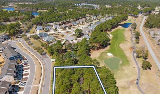 Overhead View-Golf