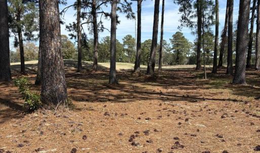 Lot View 1