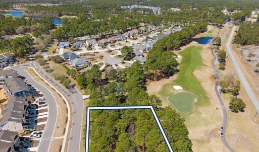 Overhead View-Golf