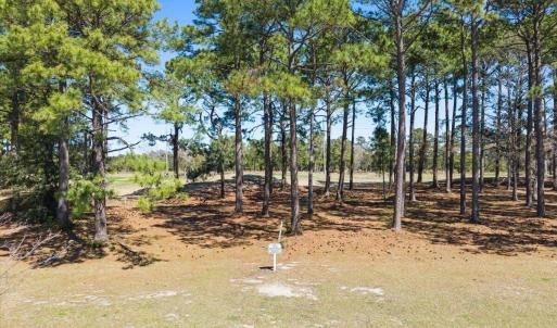 Lot View 2