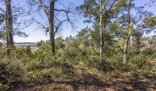 166' of marsh frontage