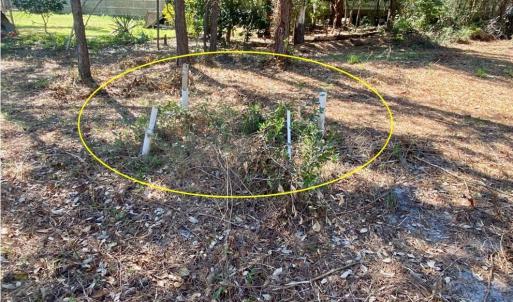 septic installed here
