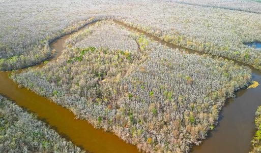 Overhead View