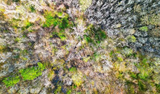 DJI_0654