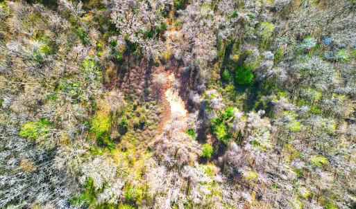DJI_0656