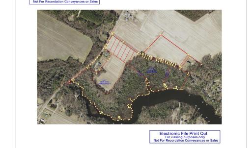 Blacksheep Aerial Reduced