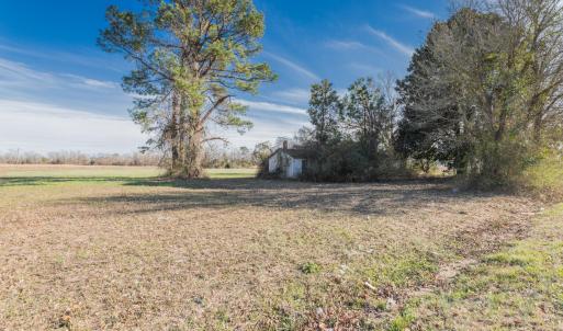 10) 55080-67df5702e4bb0