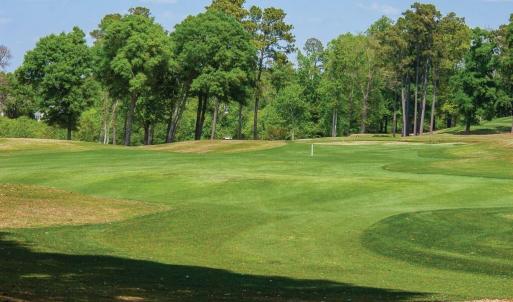 golf-course-6
