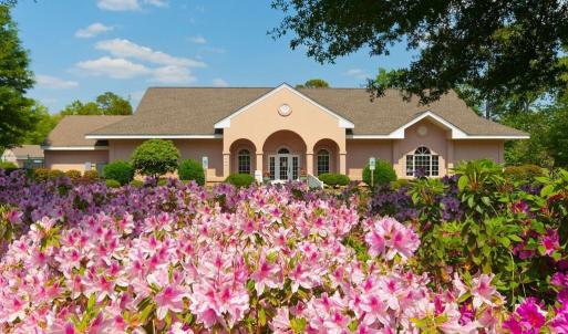 sea-trail-plantation-pink-palace