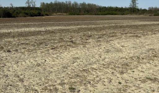 Farm Field
