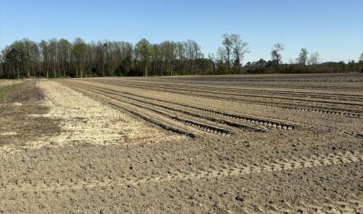 Farm Field