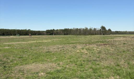 Farm Field