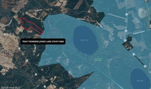 aerial with jones lake