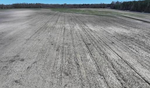 DJI_20250322145529_0513_D