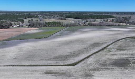 DJI_20250322142659_0486_D