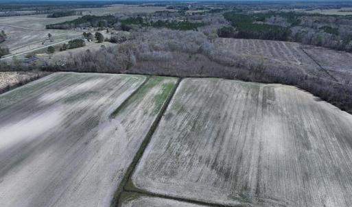 DJI_20250322145357_0511_D