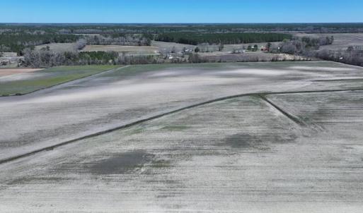 DJI_20250322142842_0493_D