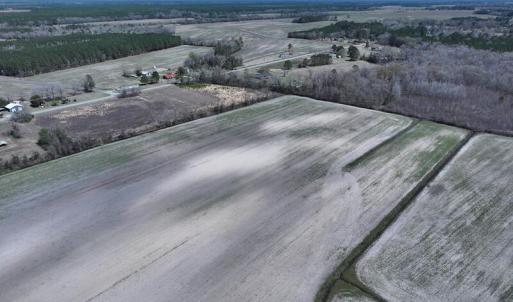 DJI_20250322145354_0510_D