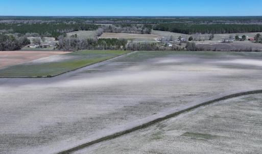 DJI_20250322142739_0490_D