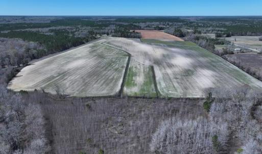 DJI_20250322143408_0499_D