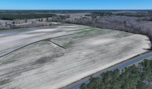 DJI_20250322142837_0492_D