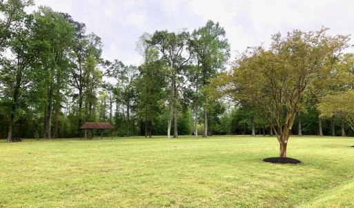 Community Park
