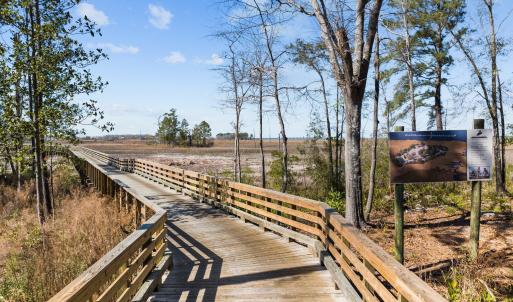 11-web-or-mls-DJI_0291