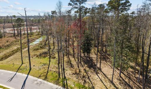 26-web-or-mls-DJI_0307