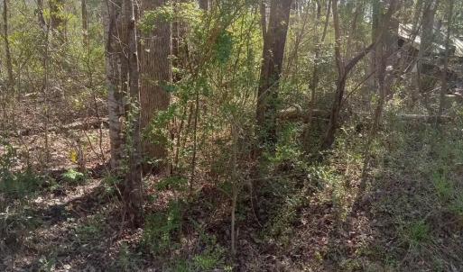 Resized_20250327_155626