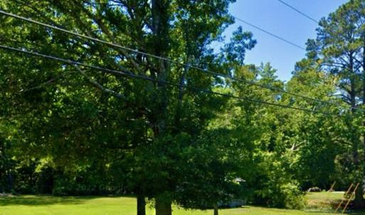 Just enough trees for shade on the lots