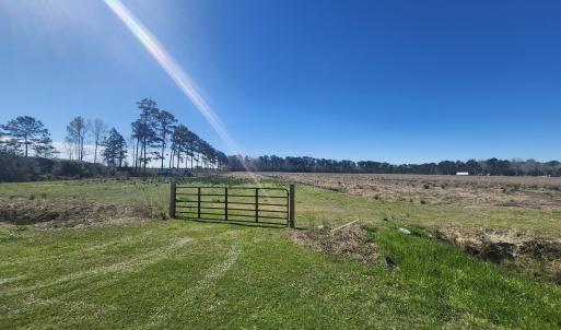 beautiful land