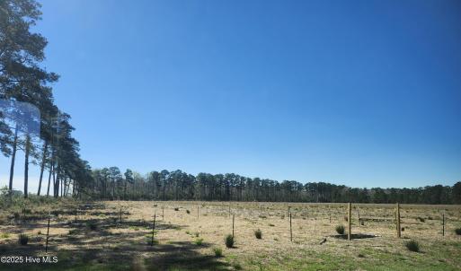 small pen started/electric fencing