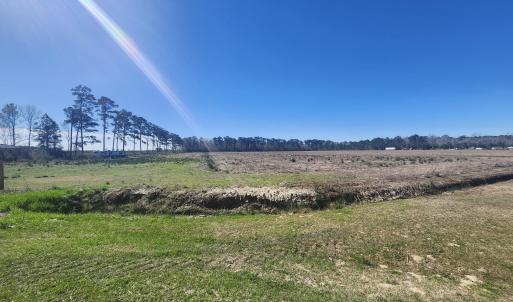 property extends ack into the tree line