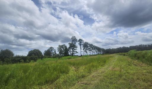 Property recently cleared again