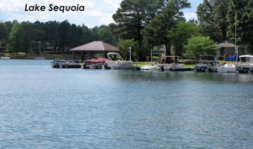 Lake Sequoia 2