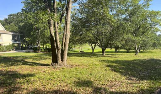 Gorgeous Corner Lot