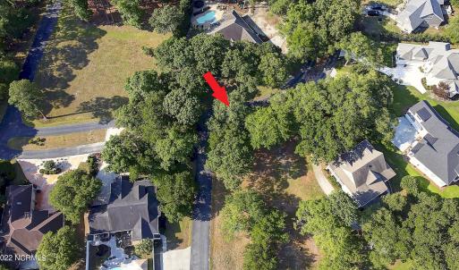 Mature Trees offer Shade