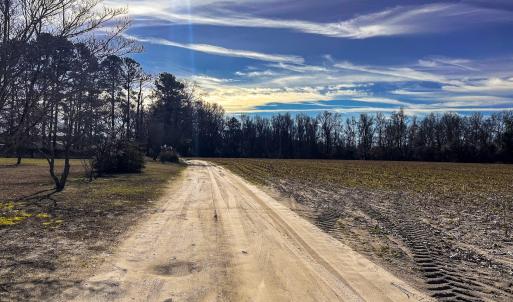 Easement
