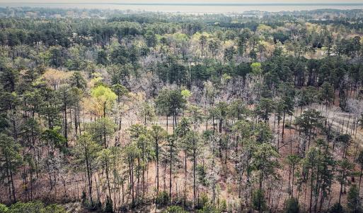 74 Queen Annes Court, Oriental, NC