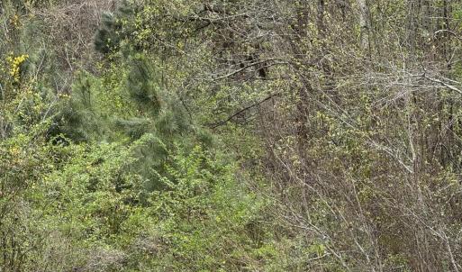 Photo Apr 02 2025, 12 19 08 PM