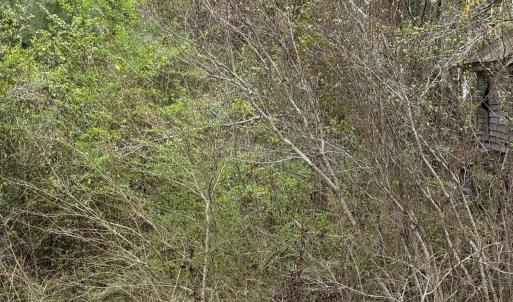 Photo Apr 02 2025, 12 18 58 PM